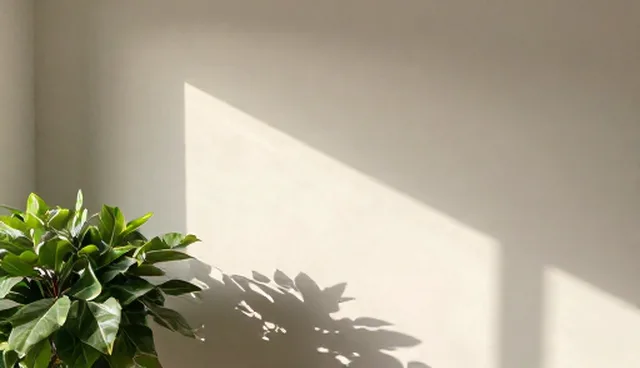 设施维护中虫害滋生问题及消杀处理方向